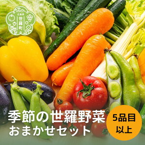 yӂ邳Ɣ[ŁzG߂̖؋l킹 ܂Zbg(5iڈȏ) Yn VN lߍ킹  ₳ Zbg  A001-01