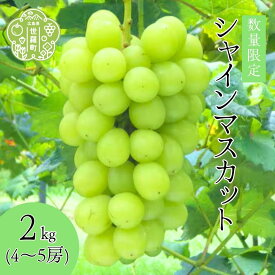 【ふるさと納税】シャインマスカット2kg (4～5房) 【2025年10月上旬以降順次発送】安井農園 ぶどう ブドウ シャイン マスカット フルーツ 種無し 果物 たねなし くだもの 産地直送 世羅 A009-05