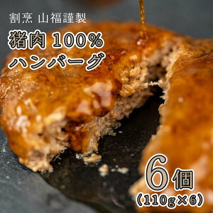yӂ邳Ɣ[Łz100no[O 6Zbg(110g×6) VR WrG CmVV  no[O  A012-04