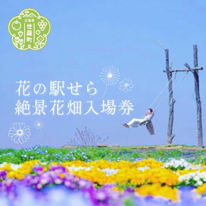 yӂ邳Ɣ[ŁzԂ̉w iԔꌔi2jltB rI  o[xi RXX ό _ A016-07