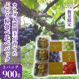 【ふるさと納税】ぶどう粒食べ比べパック 約900g(3パック)【先行予約・数量限定】カナダ人農園主 ぶどう ブドウ マスカット フルーツ 果物 くだもの 産地直送 世羅 SDGs【2024年9月下旬以降順次発送】A021-09