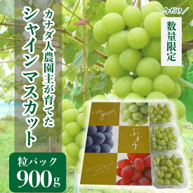 【ふるさと納税】シャインマスカット粒パック 約900g(3パック)【先行予約・数量限定】カナダ人農園主 ぶどう ブドウ マスカット フルーツ 果物 くだもの 産地直送 世羅 ラピアビンヤード【2025年9月下旬以降順次発送】A021-10