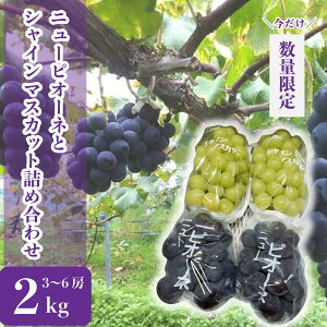 yӂ邳Ɣ[Łzj[sI[lƃVC}XJbg̋lߍ킹 2kg(3`6[)ys\EʌzJi_l_ VC sI[l Ԃǂ uhE t[c ʕ  Yn