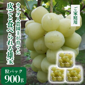 yӂ邳Ɣ[ŁzY(䂤ق) pbN900kg(ƒp)ys\EʌzJi_l_ Ԃǂ uhE t[c ʕ  Yn  sAr[hy2025N10{