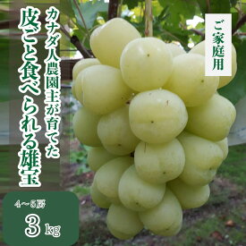 【ふるさと納税】皮ごと食べられる雄宝(ゆうほう) 約3kg（ご家庭用）【先行予約・数量限定】カナダ人農園主 ぶどう ブドウ ゆうほう フルーツ 果物 くだもの 産地直送 世羅 ラピアビンヤード【2026年10月上旬頃より順次発送】A021-26