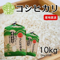 楽天市場】世羅 米の通販
