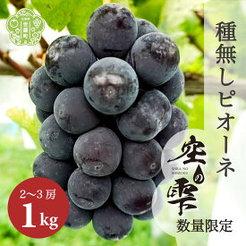 【ふるさと納税】種無しピオーネ 約1kg(2～3房)【ご家庭用・先行予約】数量限定 空の雫 ピオーネ ぶどう 葡萄 ブドウ フルーツ 果物 くだもの 産地直送 世羅 世羅産 サンワファーム 【2025年9月上旬以降順次発送】A025-01