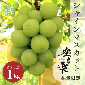 【ふるさと納税】シャインマスカット約1kg(2～3房)【ご家庭用・先行予約】数量限定 空の雫 シャイン マスカット ぶどう 葡萄 ブドウ フルーツ 果物 くだもの 産地直送 世羅 世羅産 サンワファーム 【2025年10月上旬以降順次発送】A025-03