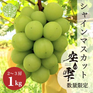 yӂ邳Ɣ[ŁzVC}XJbg1kg(2`3[)yƒpEs\zʌ ̎ VC }XJbg Ԃǂ  uhE t[c ʕ  Yn  Y Tt