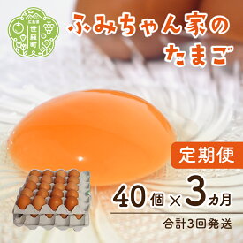 【ふるさと納税】【定期便3カ月】ふみちゃん家のたまご 40個入《合計3回発送》広島県 卵 タマゴ 玉子 新鮮 定期便 世羅 A027-05