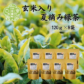 【ふるさと納税】玄米入り夏摘み緑茶 120g×8袋 世羅茶 お茶 茶葉 玄米茶 日本茶 A030-08