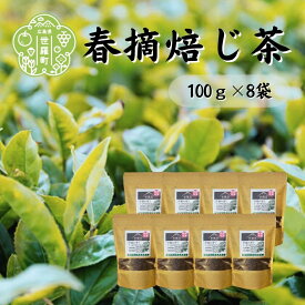 【ふるさと納税】春摘焙じ茶 100g×8袋 世羅茶 ほうじ茶 お茶 茶葉 健康茶 A030-09