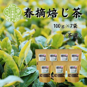 yӂ邳Ɣ[ŁztE 100g×7  ق  t N A030-09