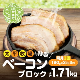 【ふるさと納税】【定期便3回】特製ベーコン ブロック(190g×3パック)《隔月 合計3回発送》 無着色 国産 ベーコン ブロック 数量限定 A035‐09