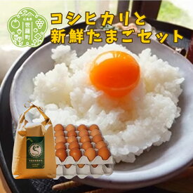 【ふるさと納税】【令和5年産】コシヒカリと新鮮卵のセット 玉子 卵かけご飯 新米 精米 お米 こしひかり A102-06