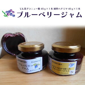 ブルーベリー ハチミツの通販 価格比較 価格 Com