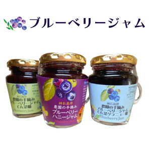 肥料 ブルーベリー ジャム コンフィチュールの通販 価格比較 価格 Com 肥料 ブルーベリー ジャム コンフィチュールの通販 価格比較 価格 Com