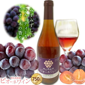 yӂ邳Ɣ[ŁzC [C sI[lC _΍Y 750ml  _΍eBAKes30ȓɏoח\(yj) tL _΍  m C sI[l ʕ