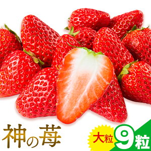 yӂ邳Ɣ[Łz _΃C`St@[ _ I-temz[fBOXЁs12{-3oׁtL _΍  t[c gق   嗱