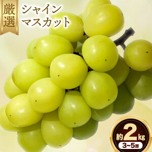yӂ邳Ɣ[ŁzVC }XJbg  2 kg s9{-11{oח\(yj)tL _΍ ʕ t[c Ԃǂ VC}XJbg 󂠂 