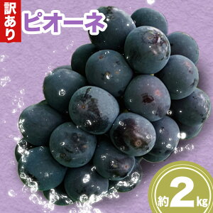 yӂ邳Ɣ[Łz󂠂 sI[l 2kg s9{-10{oח\(yj)tL _΍ ʕ t[c Ԃǂ 󂠂 