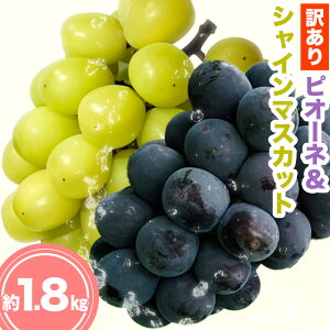 yӂ邳Ɣ[Łz󂠂sI[lVC}XJbg 1.8kg s9{-10{oח\(yj)tL _΍ ʕ t[c Ԃǂ VC}XJbg 󂠂 