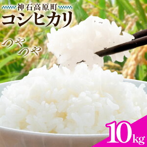 yӂ邳Ɣ[Łz_΍Y RVqJ  Iׂ 5kg 10kg MSERRNTs񕍌2Tԓȓɏoח\(yj) t   ͂   Y R L _΍