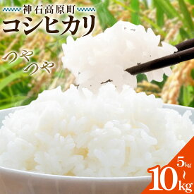 【ふるさと納税】神石高原町産 コシヒカリ 米 選べる 5kg 10kg 株式会社MSERRNT《寄附後2週間日以内に出荷予定(土日祝除く) 》お米 白米 ご飯 ごはん 白ご飯 白飯 国産 コメ 広島県 神石高原町