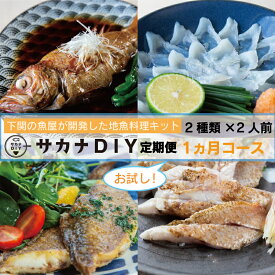 【ふるさと納税】 お試し 1回 鮮魚 刺身 煮魚 揚物 冷凍 真空 小分け サカナ DIY 料理 ミール キット 2人前 2種 1ヶ月 計 2食 カンタン 調理 地魚 下関 山口 お楽しみ 魚介 海鮮 お魚 簡単調理 惣菜 おかず 夕食 晩ごはん お手軽