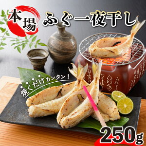 yӂ邳Ɣ[Łz ӂ Y 銱 250g  ܂  ӂ Mtg    R ͂̂