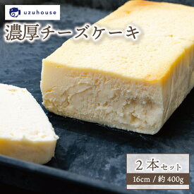 【ふるさと納税】 チーズケーキ 2本セット 16cm 約400g 冷凍 下関市 山口 秋 冬