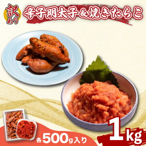 yӂ邳Ɣ[Łz 󂠂 hqq oq Ă 炱 e500g 1kg Ⓚ   ܂ ߂񂽂 t e ͂̂
