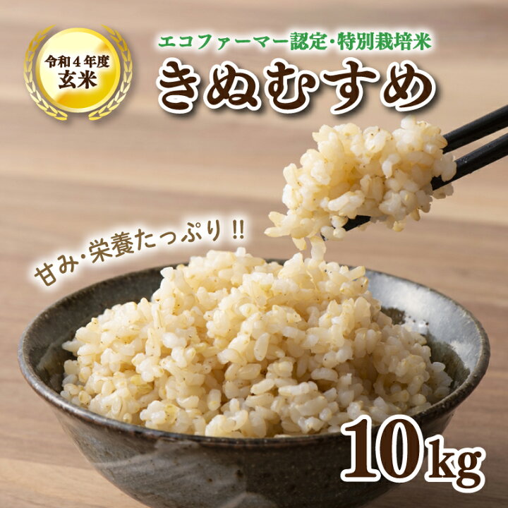 楽天市場】【ふるさと納税】 玄米 きぬむすめ 10kg 令和4年度産 精米可 