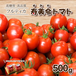 yӂ邳Ɣ[Łz Ԍ t[cg}g ߃g}g 500g ( 250g pbN×2 ) ~jg}g v`g}g  {  T_ VN G Ԍ  R