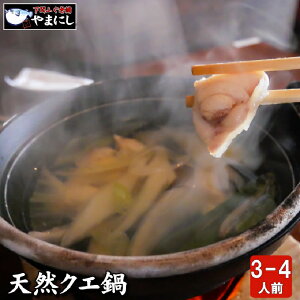 yӂ邳Ɣ[Łz VR NG Zbg3`4lO ( 450g ) Ⓚ NG  NG CN VR   A A R ֎s Y
