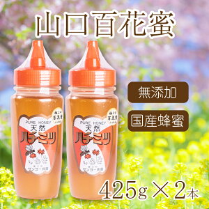 yӂ邳Ɣ[Łz R Y SԖ 850gi425g×2{j