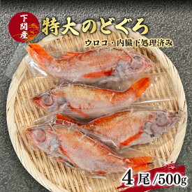 【ふるさと納税】 のどぐろ 中 サイズ 4尾 高級 魚 鮮魚 冷凍 アカムツ 下処理 済 下関