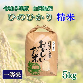 【ふるさと納税】 令和5年 米 収穫 期間限定 ひのひかり 精米 5kg 1箱 下関市 山口県産