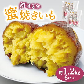 【ふるさと納税】 蜜焼き芋 6本 セット 大容量 冷凍 約 1.2kg いも さつまいも 芋 和 菓子 スイーツ おやつに ピッタリ アイス 冷やし焼き芋 紅はるか 下関 山口