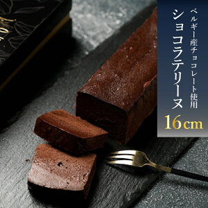 yӂ邳Ɣ[Łz XC[c lC e[k VR `R[g 1{ 16cm 500g Ⓚ  ֎s lC ԗi R