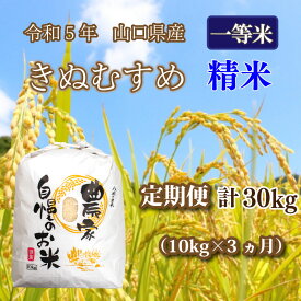 【ふるさと納税】 《定期便 3ヵ月》 10kg きぬむすめ 計 30kg 令和5年 精米 八城の里米 豊北町 農家 直送 下関市 山口県産