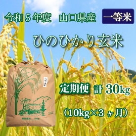 【ふるさと納税】 《定期便 3ヵ月》10kg ひのひかり 計 30kg 令和5年 玄米 八城の里米 豊北町 農家 直送 下関市 山口県産