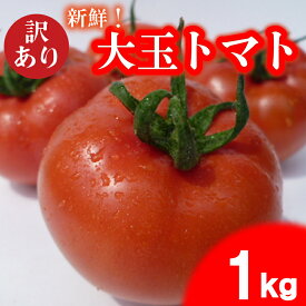 【ふるさと納税】 訳あり トマト 先行予約 1~2kg 大玉 期間限定 数量限定 野菜 産地直送 お試し 高糖度 リコピン ビタミンC 美容 ご自宅用 栄養 甘い おいしい 下関 山口 【2026年4月中旬からの発送】