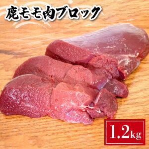 yӂ邳Ɣ[Łz   ubN 750g ~ 1.2kg Ⓚ ^  Iׂ e Y   VN  VJ WrG ^pN J[ _CGbg N ؃g Xe[L J[ V`
