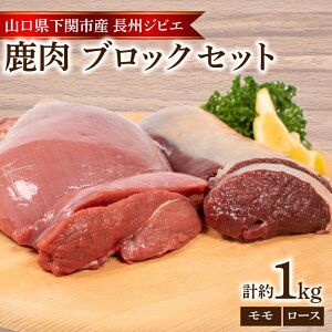 yӂ邳Ɣ[Łz 󂠂 s  [X  ubN e  500g v  1kg  VJ WrG   ( Ⓚ  H ͂ ٓ y  ^pN J[ ᎉ SLx _