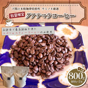 yӂ邳Ɣ[Łz 󂠂 R[q[  800g ( 400g × 2 ) OAe}  nhhbv   XyVeBR[q[ Iׂ  [      