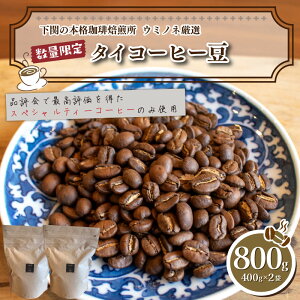yӂ邳Ɣ[Łz 󂠂 R[q[ 800g ( 400g × 2 ) ʌ Iׂ  [   ^C       R