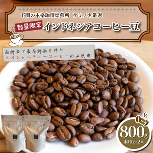 yӂ邳Ɣ[Łz 󂠂 R[q[  800g ( 400g × 2 ) ʌ Iׂ  [ [  ChlVA       R