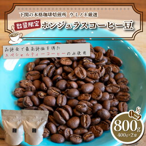 yӂ邳Ɣ[Łz 󂠂 R[q[ 800g ( 400g × 2 ) ʌ Iׂ  [   zWX       R