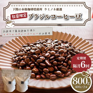 yӂ邳Ɣ[Łz 󂠂 R[q[  800g ~ 1kg Iׂ  ҂  uW xgi ^C ChlVA zWX ʌ R[q[   XyVeBR[q[ 